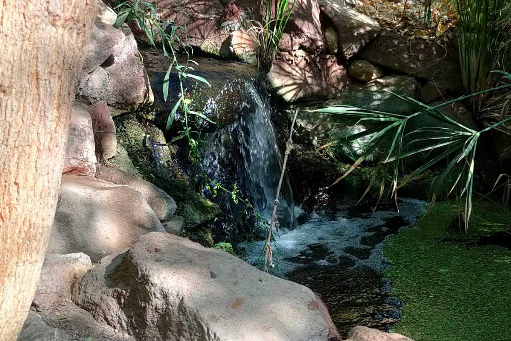 הגן הבוטאני של אילת