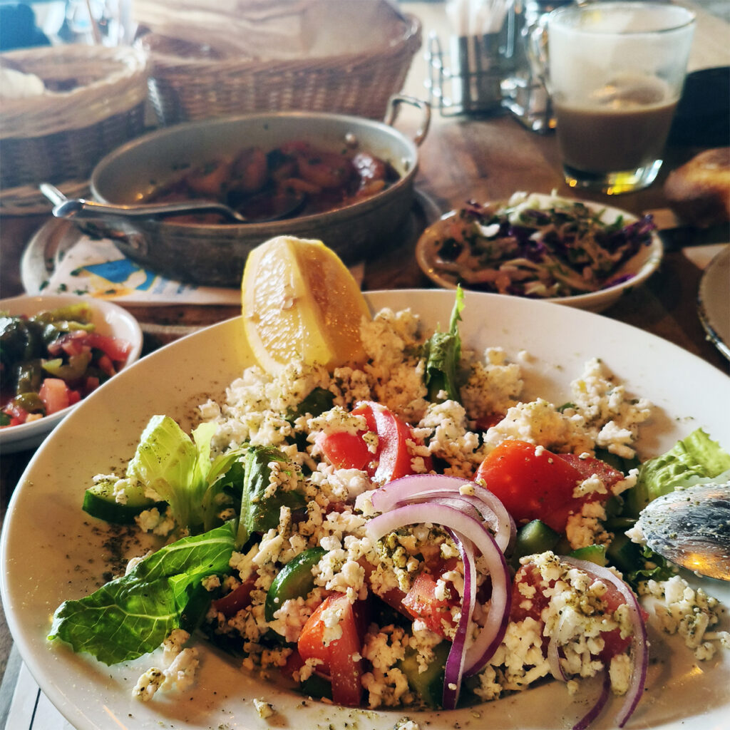 ארוחת בוקר בריף הדולפינים