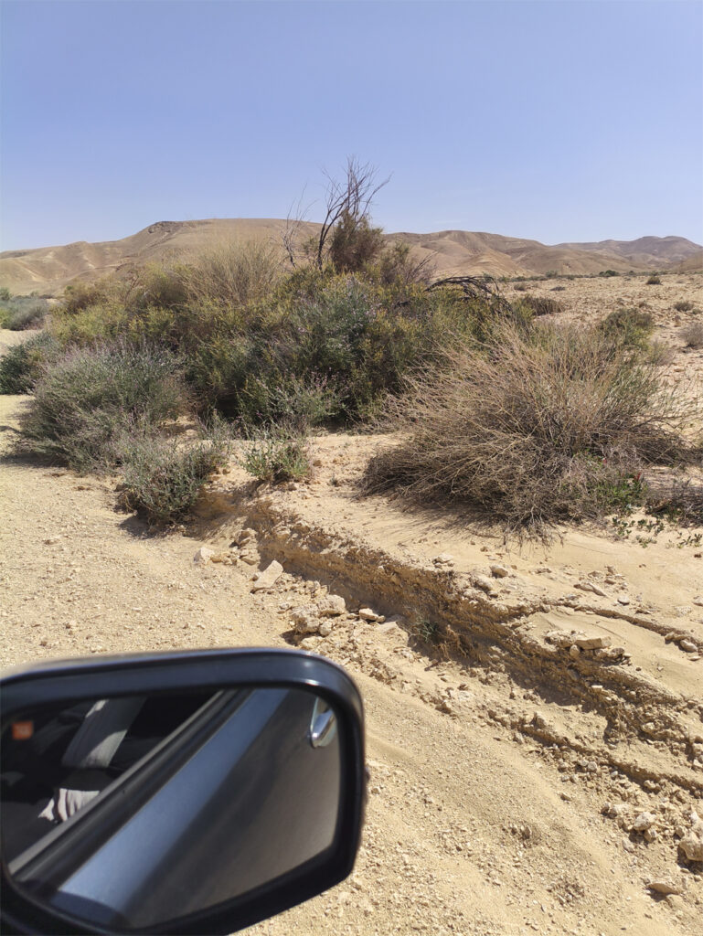 טיול ג'יפים במישר סעיפים ליד אילת