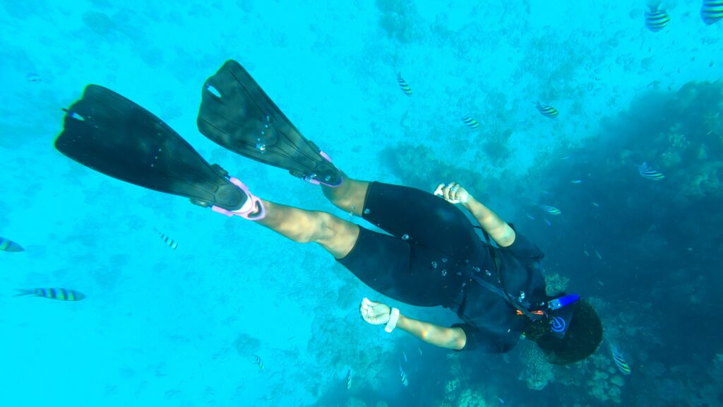 בחורה עם שנורקל שוחה מעל שונית אלמוגים בחוף אלמוג באילת