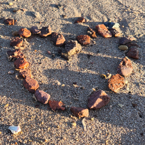 חופים באילת