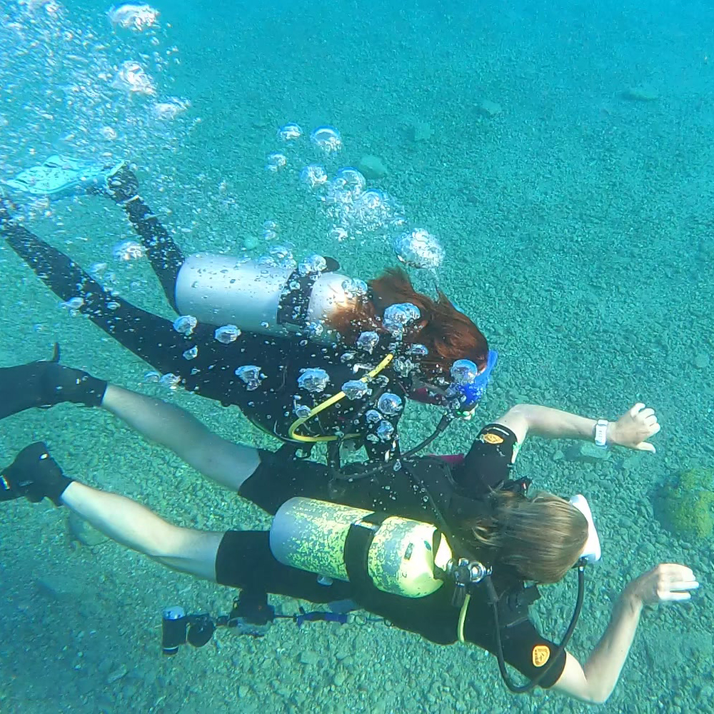 ילדים צוללים בים סוף