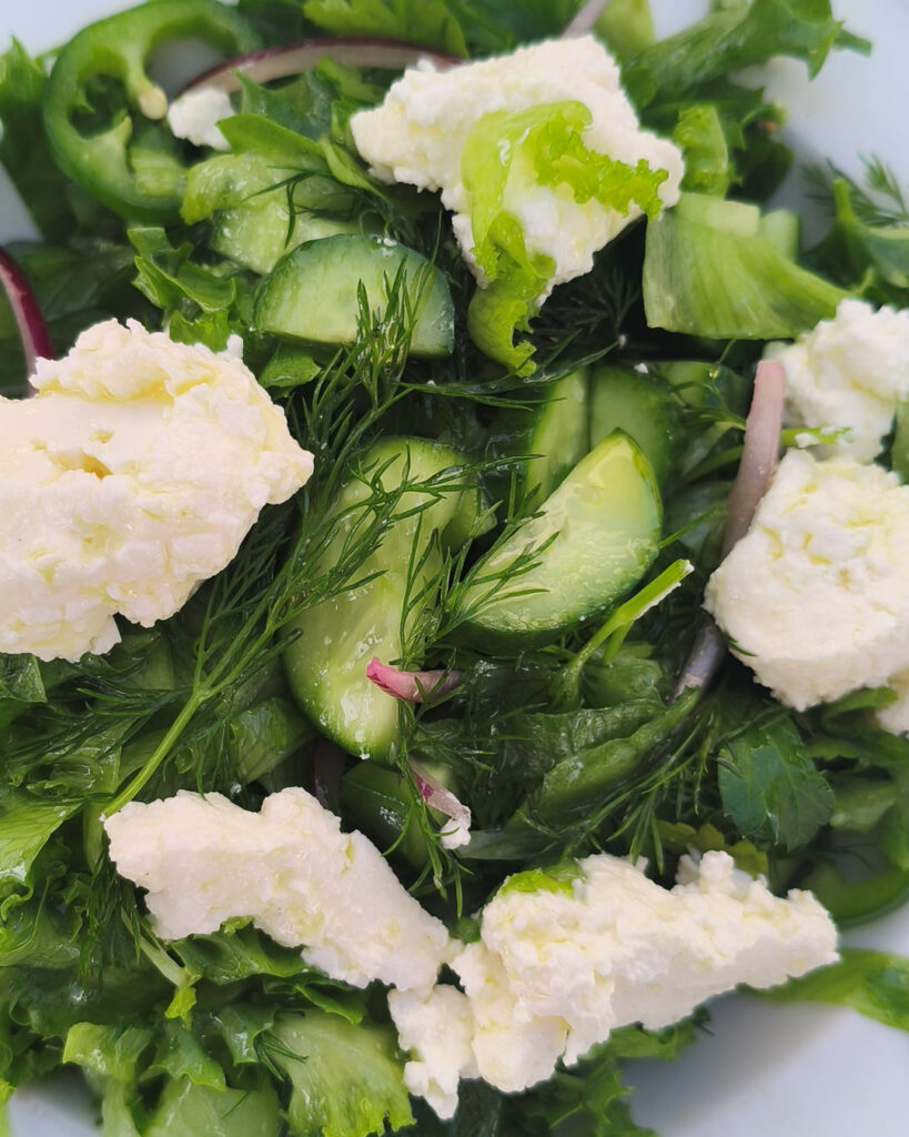 סלט טרי במסעדה כשרה באילת לילי