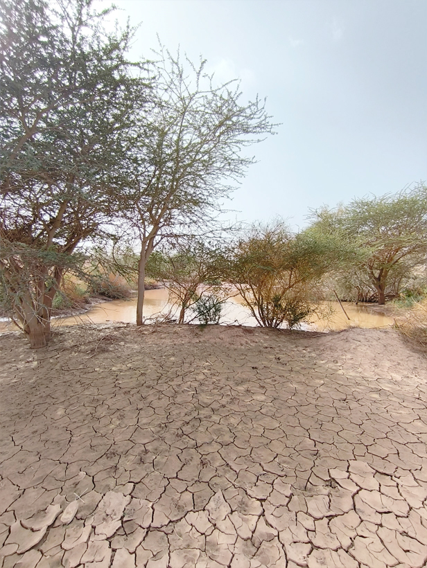 אגם עונתי ליד פארק תמנע