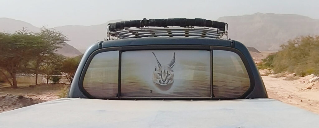 טיול חורפי קצר מאילת לפארק תמנע עם מדריך קרקל ברכב במדבר