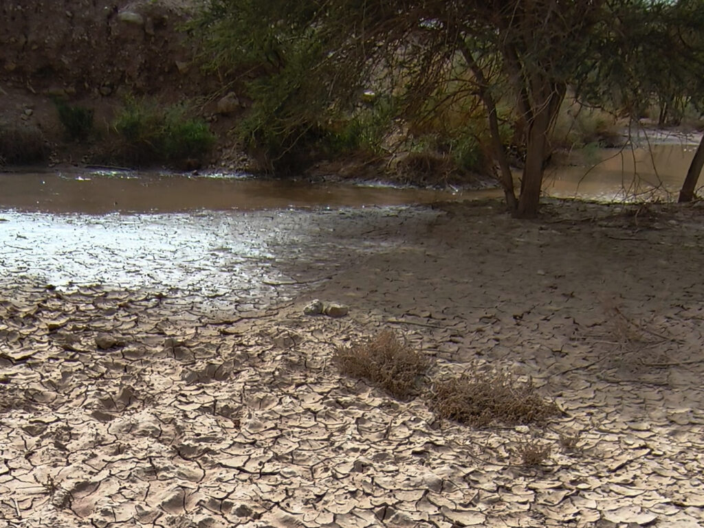 טיול חורפי מאילת לתמנע