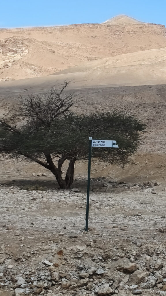 שלט שמצביע על גבי עתק