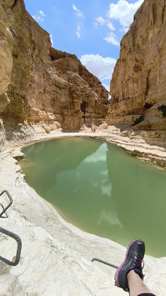 סולמות בירידה לגבים בנחל עתק