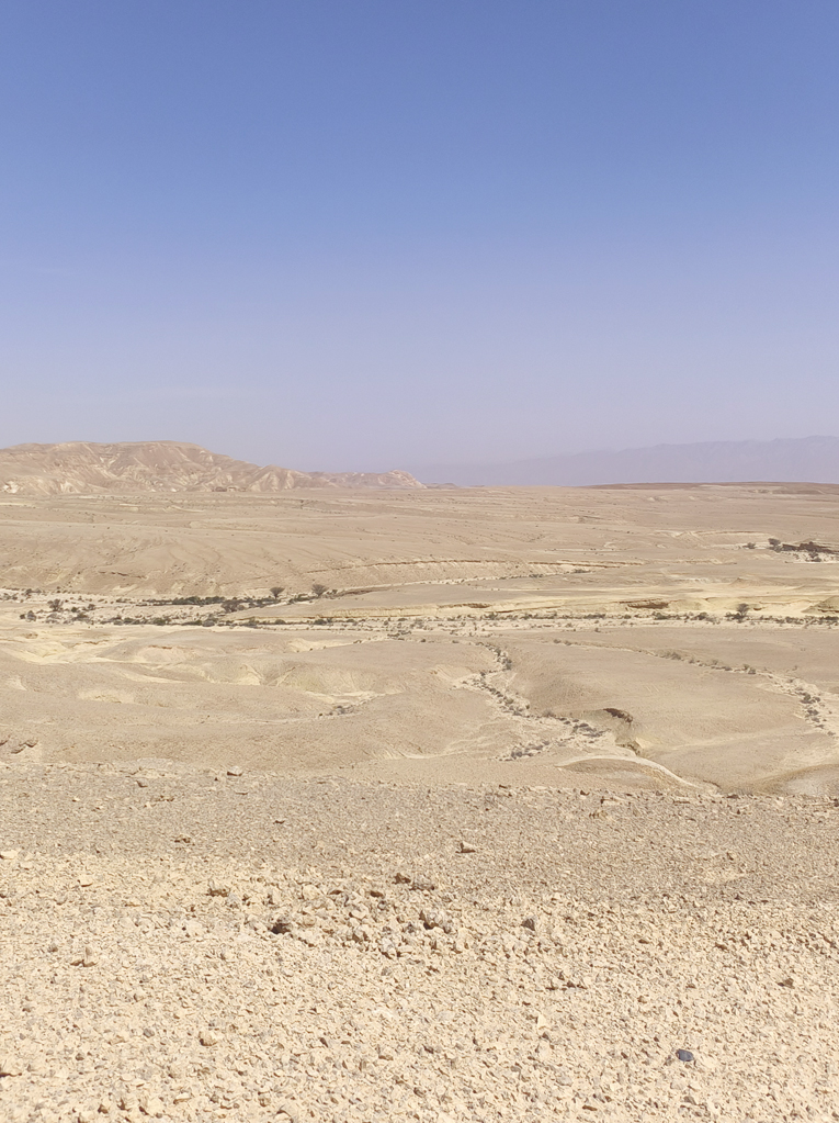 מישר סעיפים