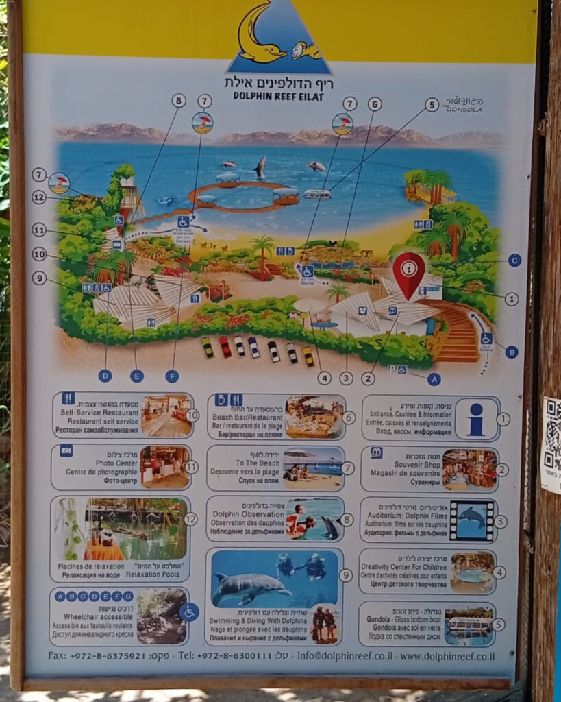 מפת התמצאות בריף הדולפינים