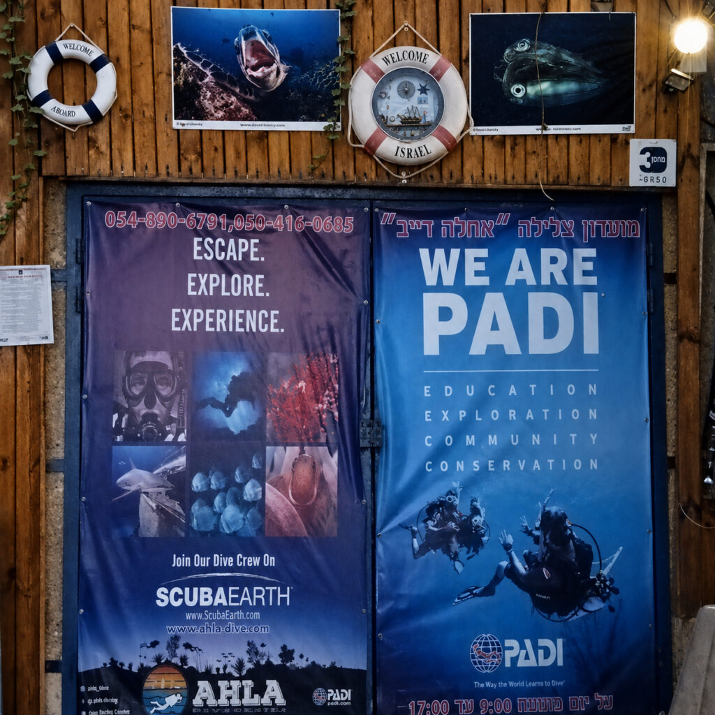 WE ARE PADI - Professional Association of Diving Instructors